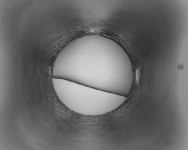 X0000111171443200907010956