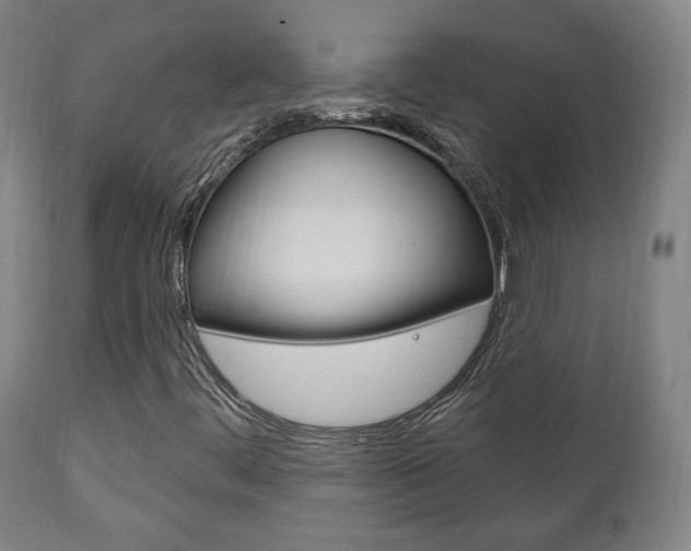 X0000111171444200907010956