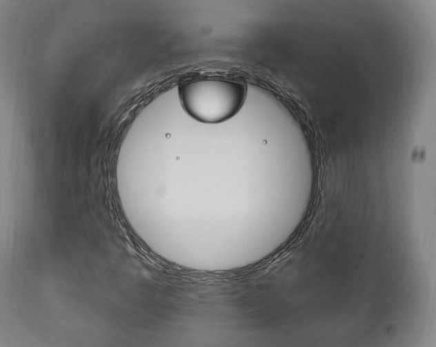 X0000111171445200907010956