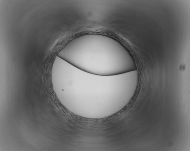 X0000111171447200907010956