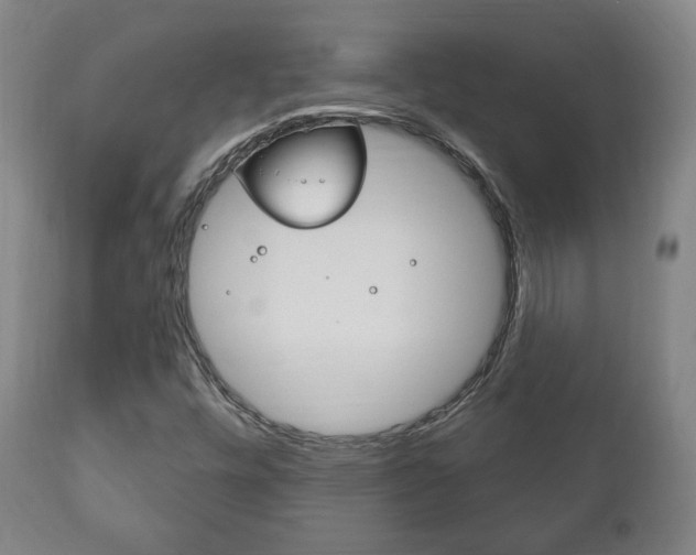 X0000111171448200907010956