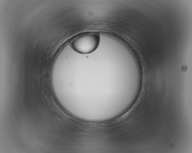 X0000111171449200907010956