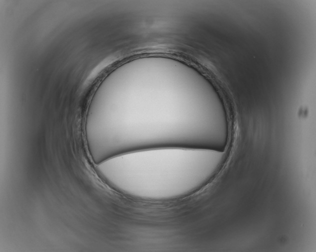 X0000111171450200907010956