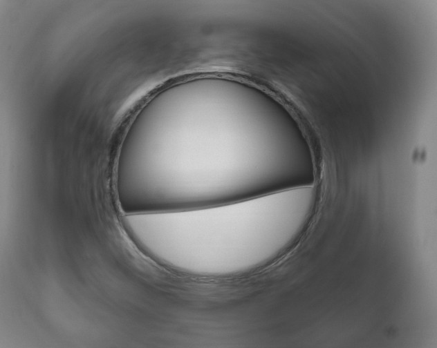 X0000111171452200907010956