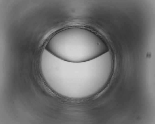 X0000111171453200907010956