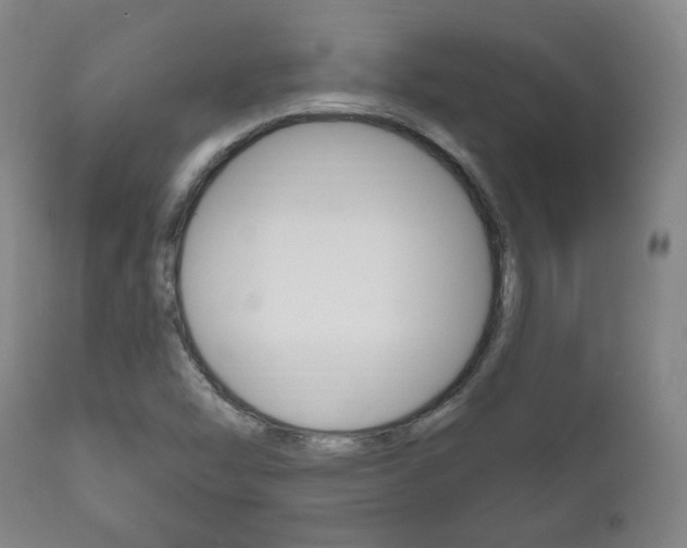 X0000111171454200907010956
