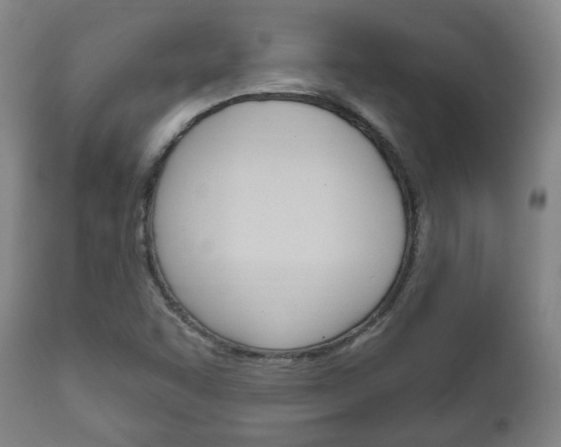 X0000111171455200907010956