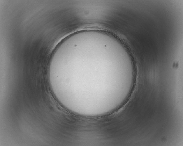 X0000111171457200907010956