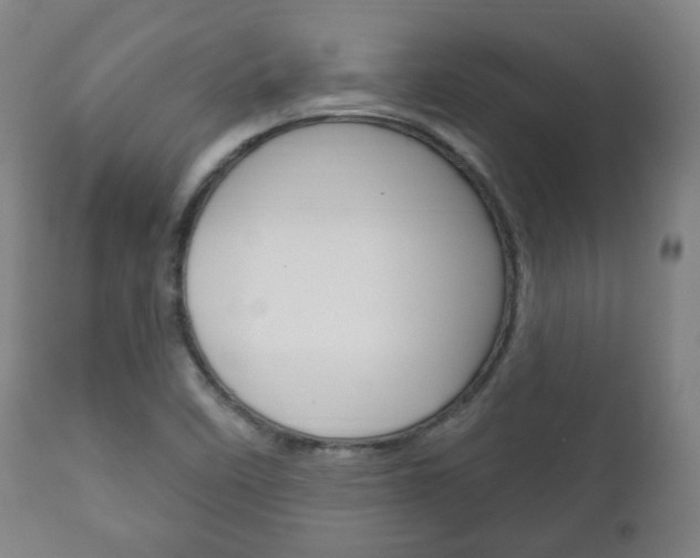 X0000111171458200907010956