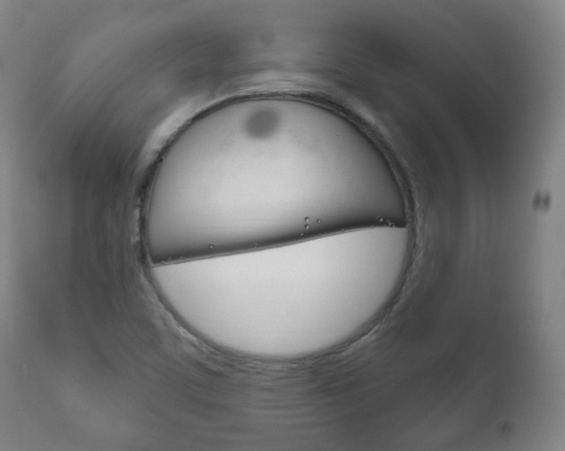 X0000111171459200907010956