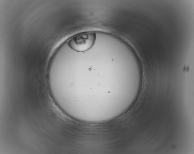 X0000111171460200907010956