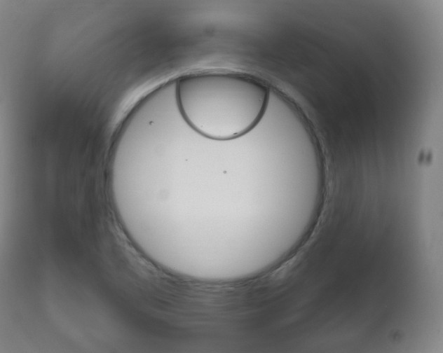 X0000111171461200907010956