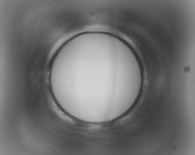 X0000111171462200907010956