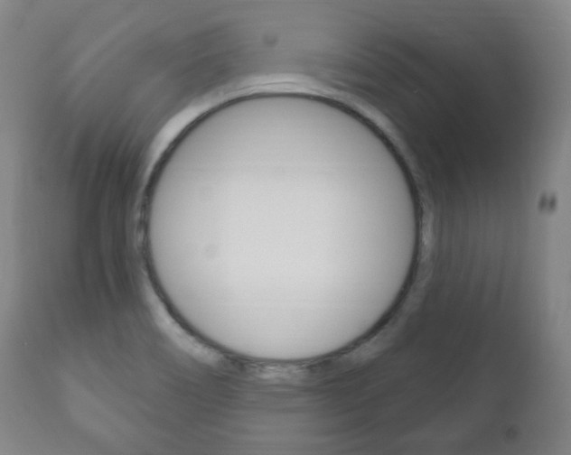 X0000111171466200907010956