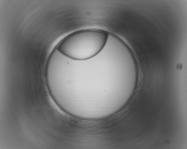 X0000111171468200907010956