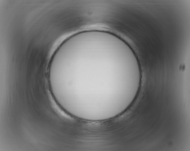 X0000111171470200907010956
