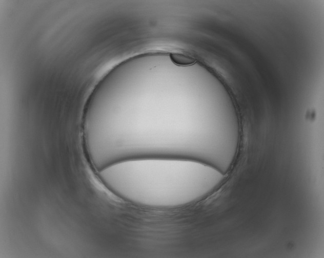 X0000111171471200907010956