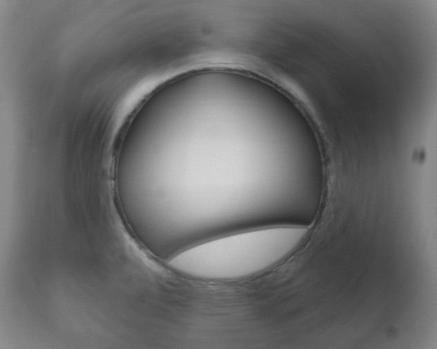 X0000111171472200907010956