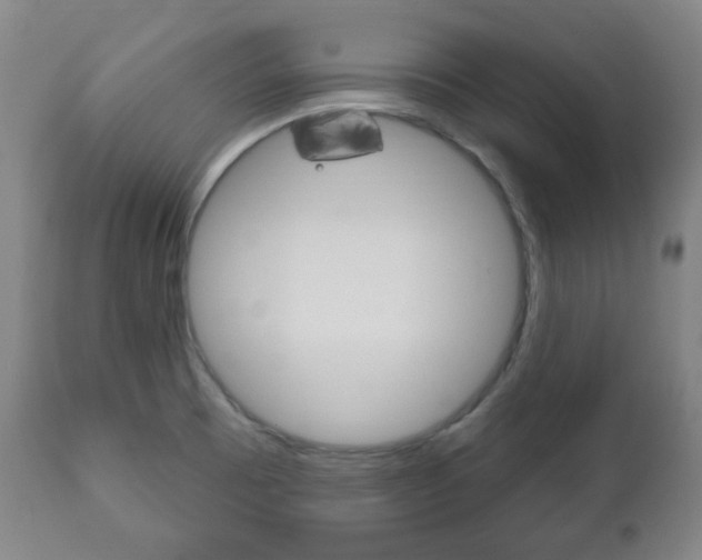 X0000111171473200907010956