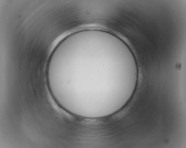 X0000111171474200907010956