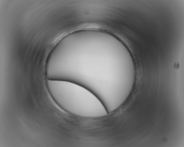 X0000111171475200907010956