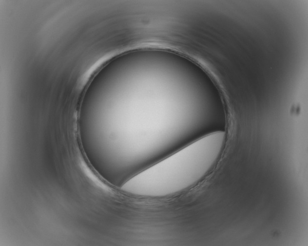 X0000111171476200907010956