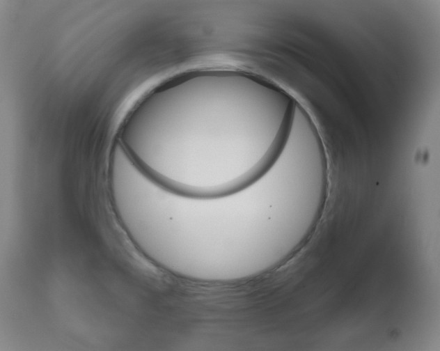 X0000111171477200907010956