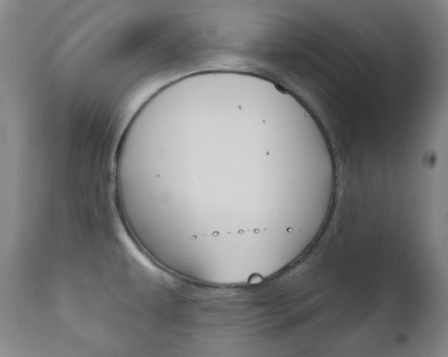 X0000111171479200907010956