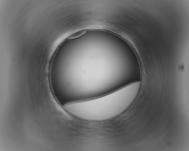 X0000111171480200907010956