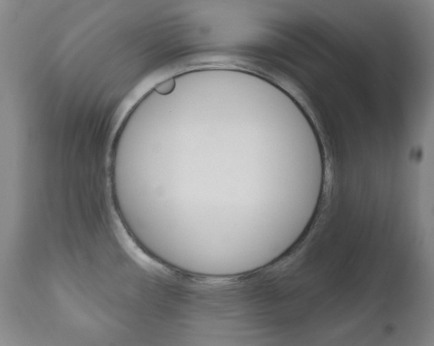 X0000111171482200907010956