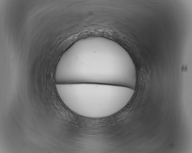 X0000111171489200907010954