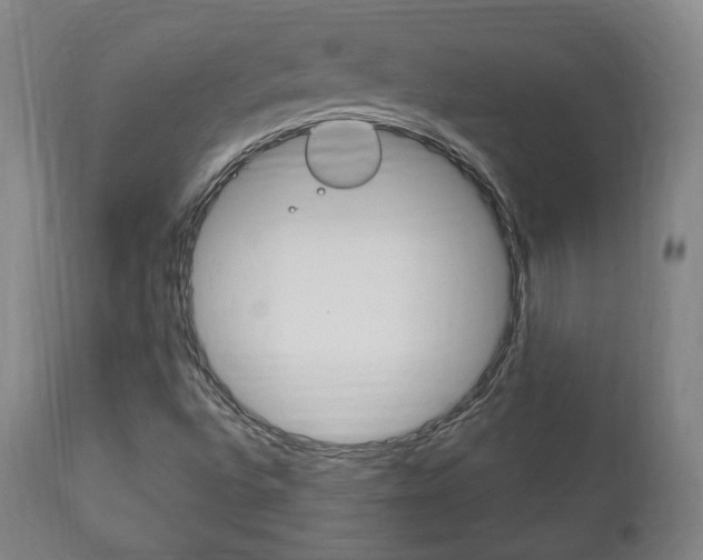X0000111171496200907010955