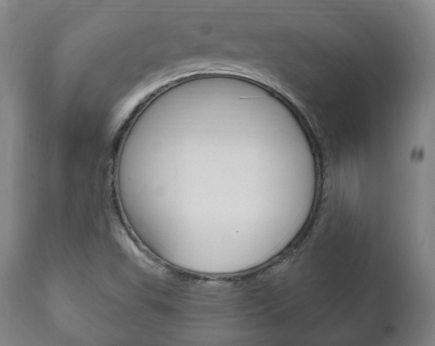X0000111171503200907010955