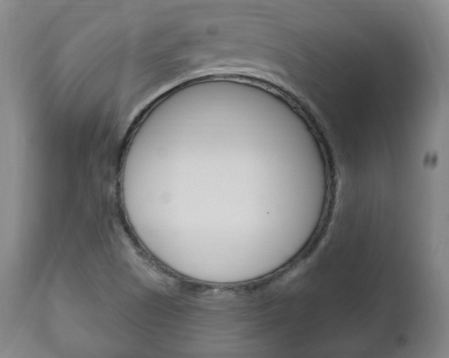 X0000111171505200907010955