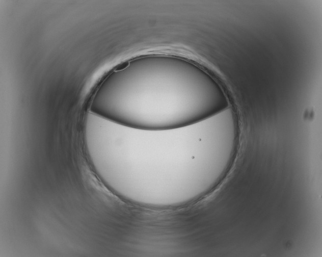 X0000111171506200907010955