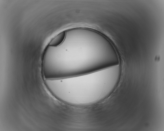 X0000111171508200907010955