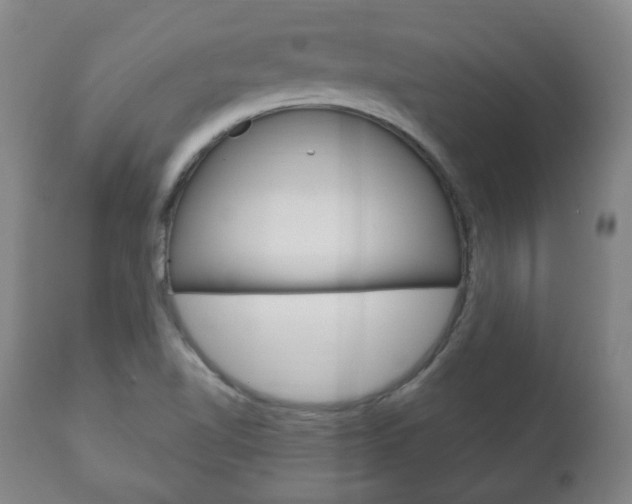 X0000111171510200907010955