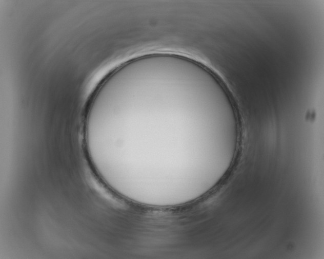 X0000111171511200907010955