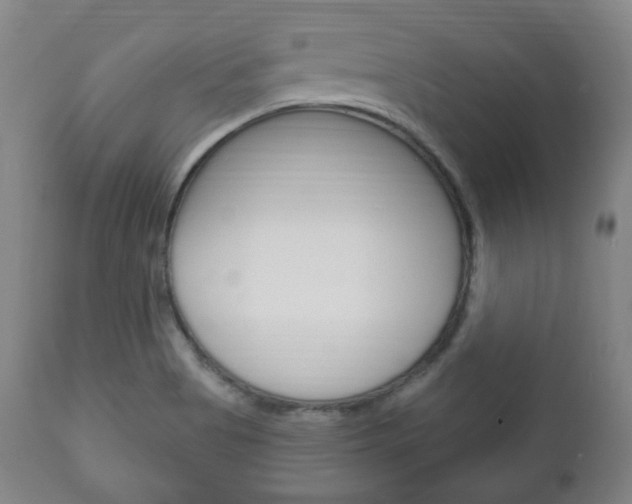 X0000111171513200907010955