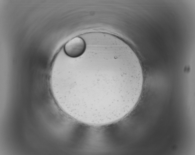 X0000111171514200907010955