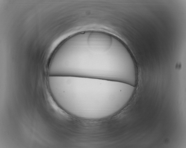 X0000111171515200907010955