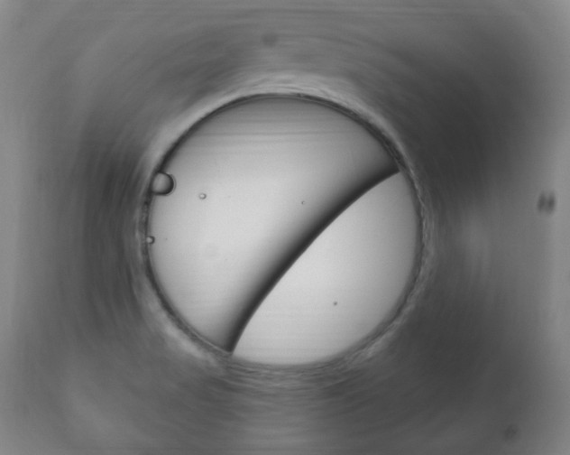 X0000111171517200907010955