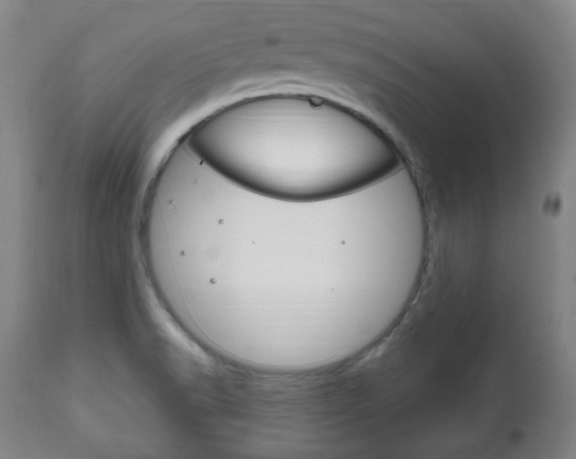X0000111171518200907010955