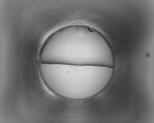 X0000111171519200907010955