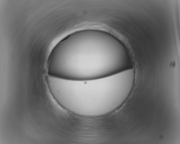 X0000111171520200907010955