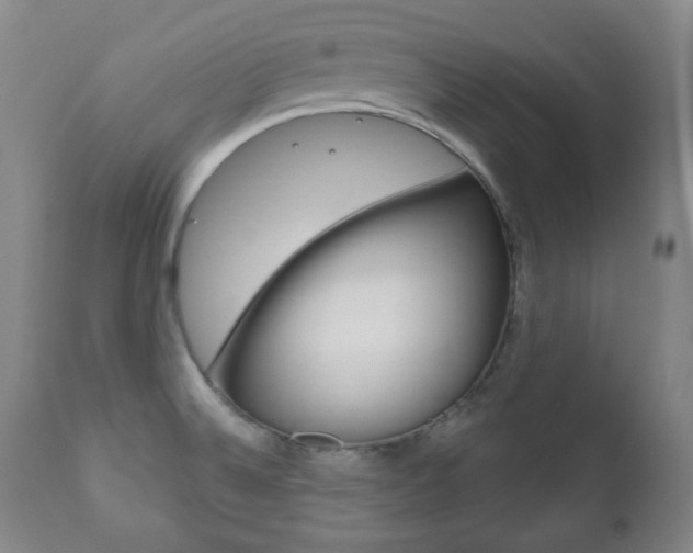X0000111171524200907010955