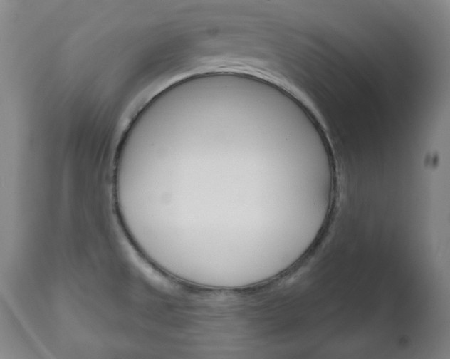 X0000111171525200907010955