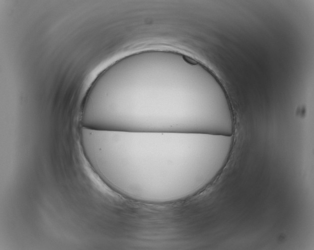 X0000111171526200907010955