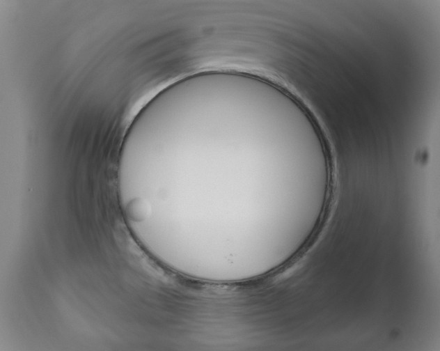 X0000111171529200907010955
