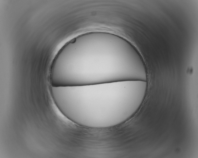 X0000111171531200907010955